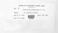 Image Associated With the Occurence